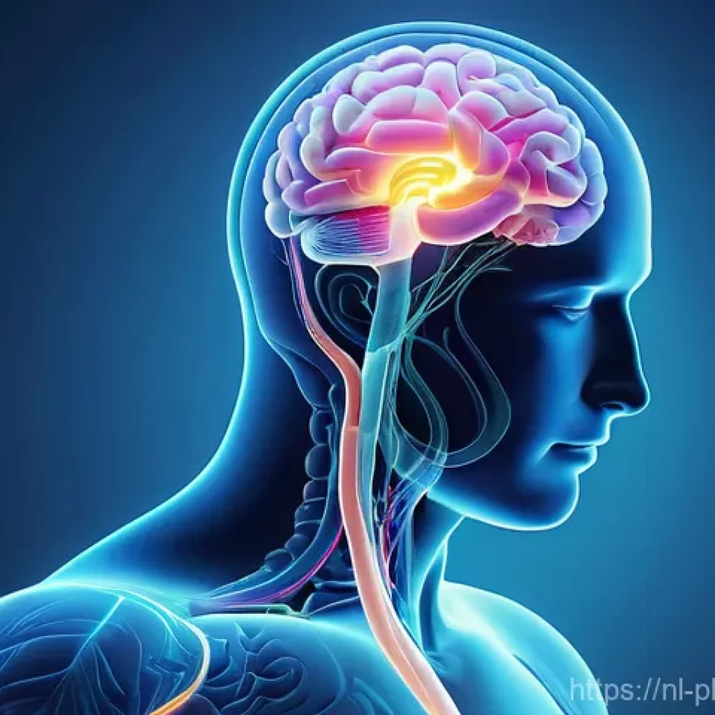 프로바이오틱스 효능에 대한 최신 연구 - **Prompt:** A visually harmonious and serene image depicting the "gut-brain axis." On one side, a su...