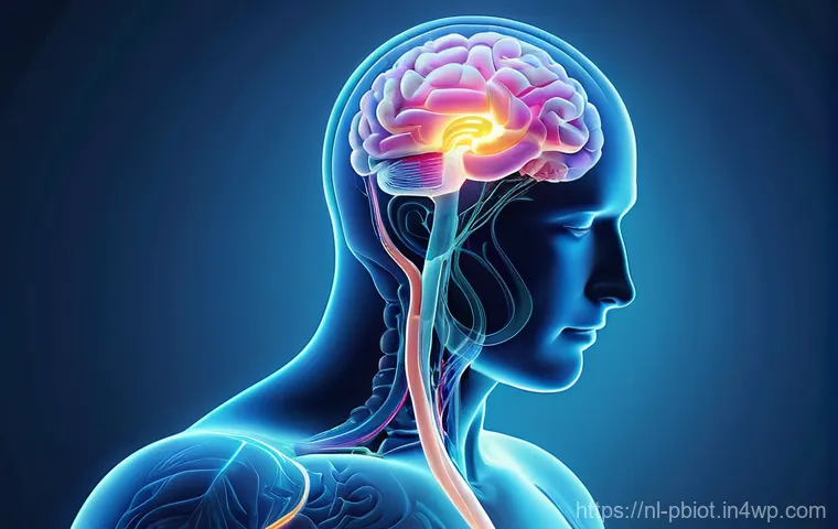 프로바이오틱스 효능에 대한 최신 연구 - **Prompt:** A visually harmonious and serene image depicting the "gut-brain axis." On one side, a su...